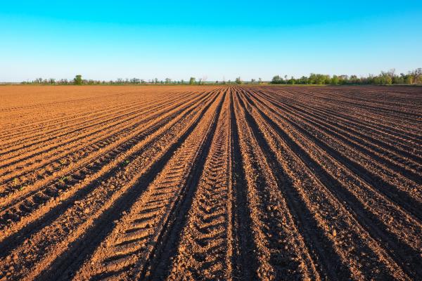 As 95% of global food production relies on plants’ ability to absorb nutrients, soil degradation is a major cause for concern.