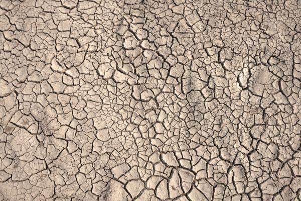 Ground cracks caused by drought