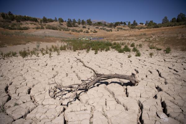 Image of the dry riverbed