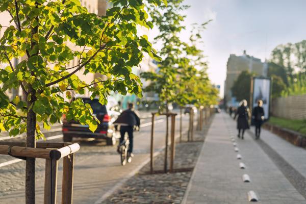 City stret with tree-line, cyclist and pedestrians