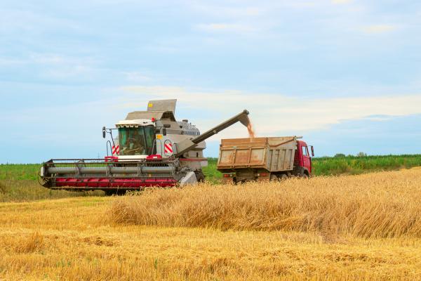 Harvesting of winter cereals has started in the south
