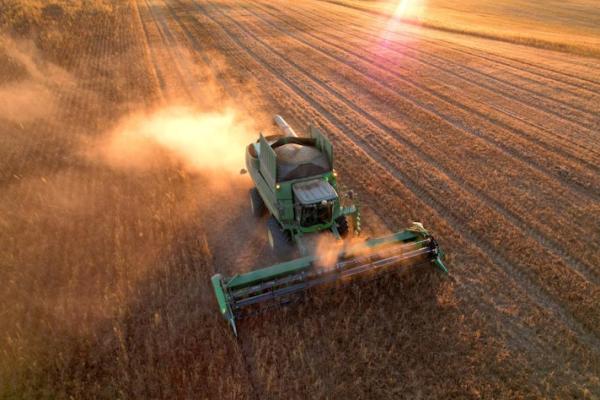 Weather extremes cause low wheat and maize yields in Russia