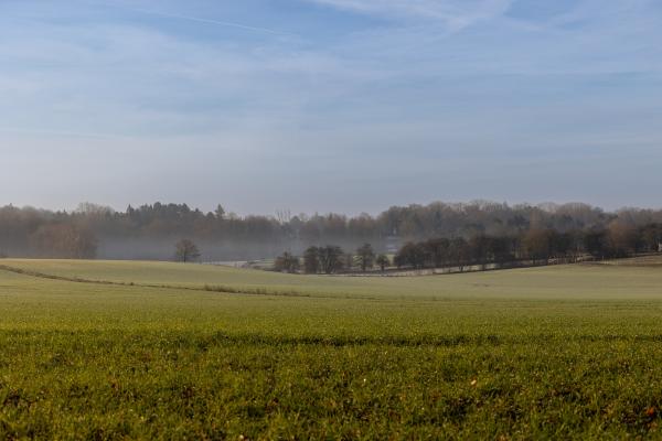 Image of a field in Belgium